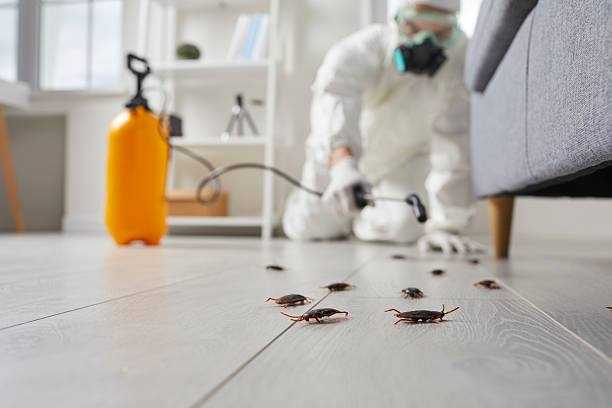 Trusted Cockroach Control service in Baxter Village, SC - Nex Pest Control