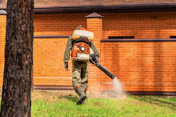 Trusted Rodent Control service in Baxter Village, SC - Nex Pest Control